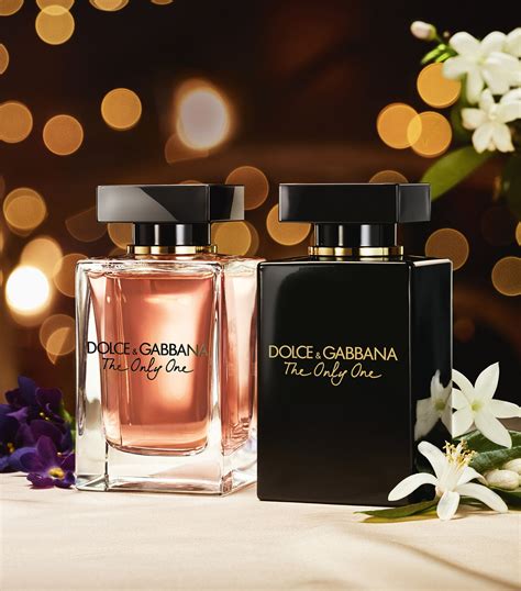 fragrantica dolce and gabbana.